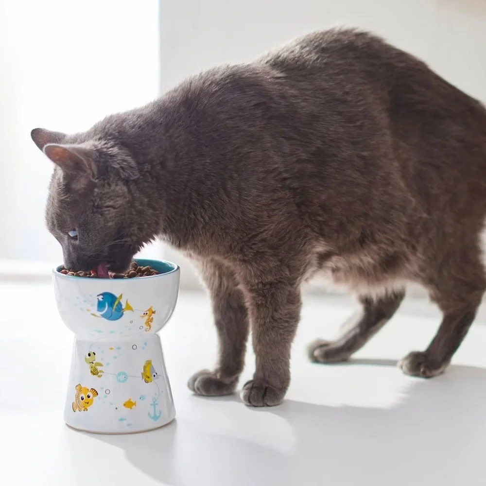 New Disney Finding Nemo Cat bowl